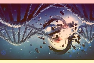 中期借贷便利和逆回购利率下降,什么信号?
